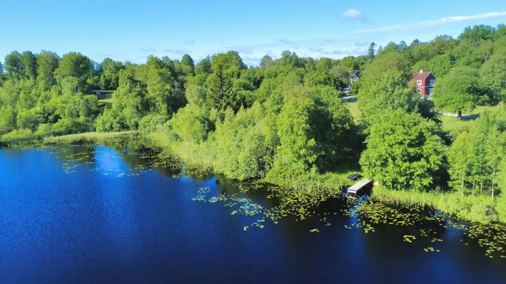 Natur und Seenlandschaft rund um die Älg Stuga in Småland