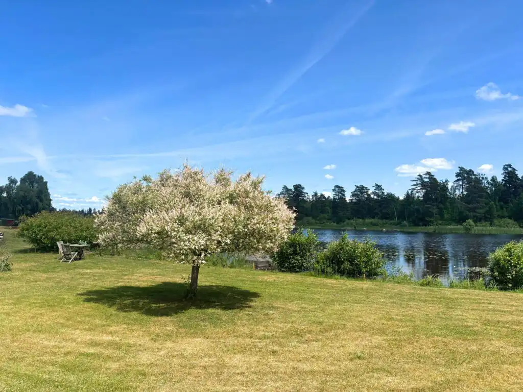 Großzügiges Naturgrundstück am See bei Villa Saleboda