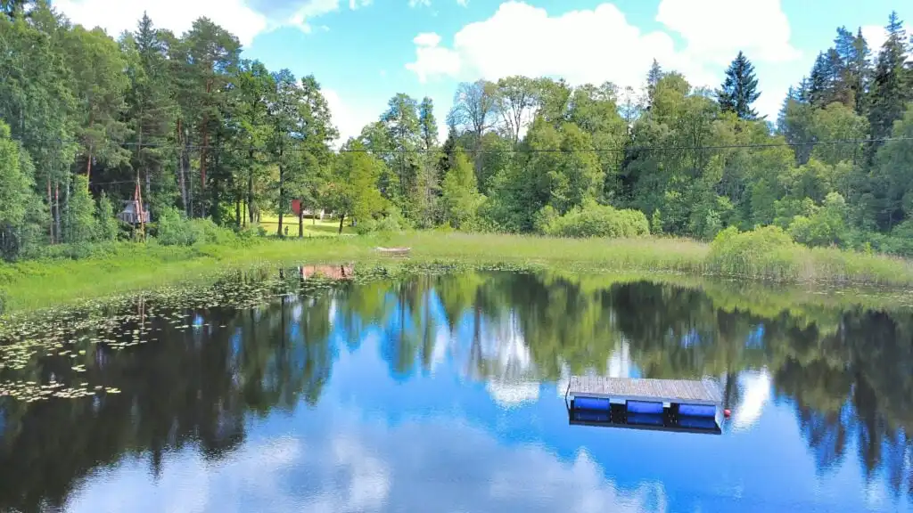 Vogelperspektive