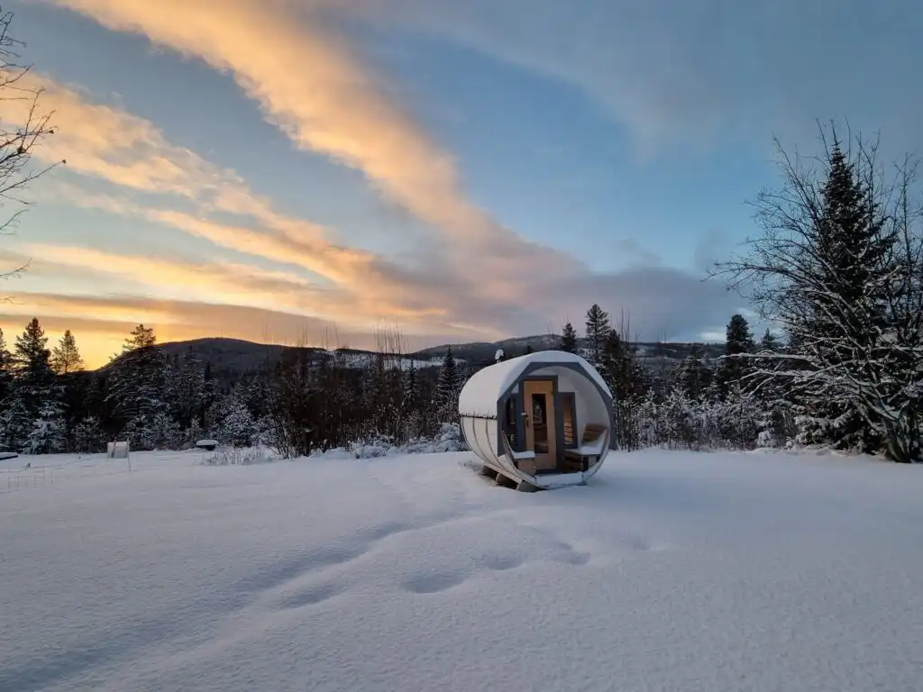 Gartenblick rund um das Ferienhaus Villa Wolf in Vidsel Lappland