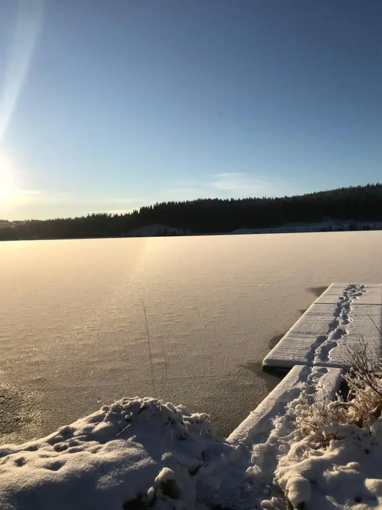 Landschaft bei Hällefors in Schweden – Natur rund um das Ferienhaus Hus Björklund