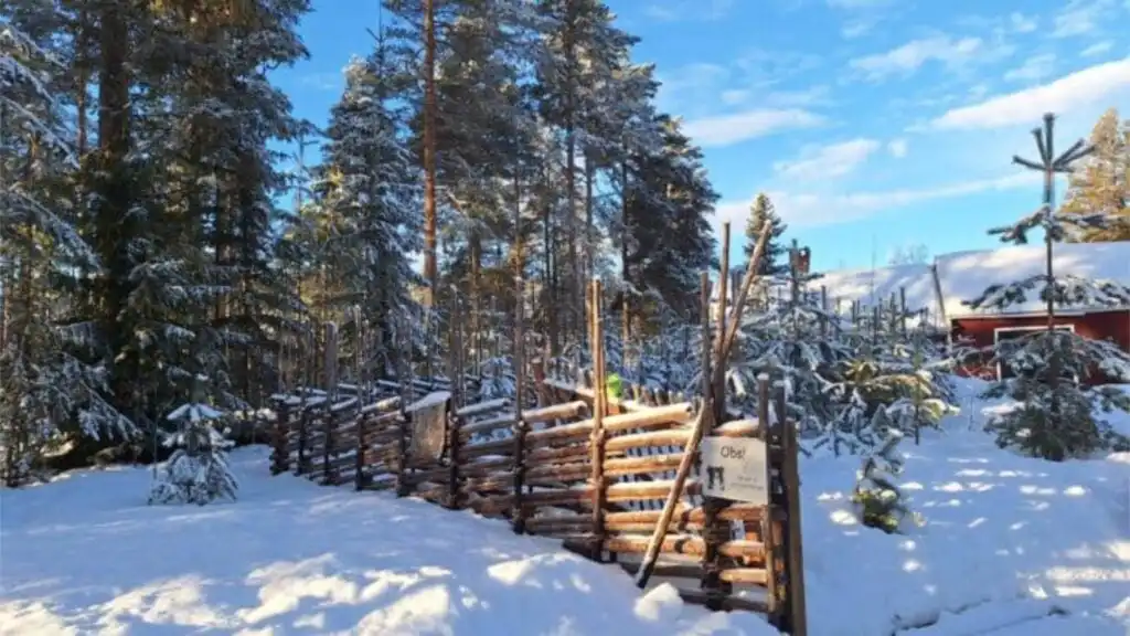Winterlandschaft mit rotem Schwedenhaus nahe Hus Siknäs in Dalarna