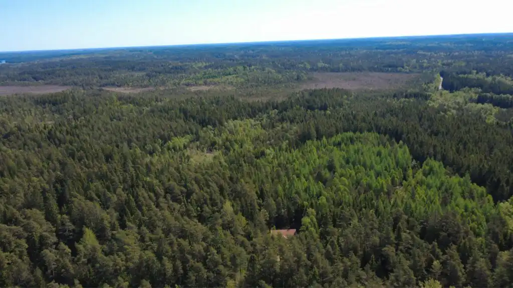 Luftaufnahme der Waldlandschaft rund um die Stuga Rödhak