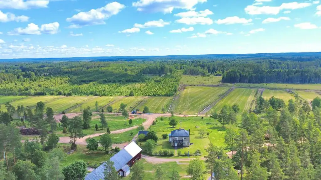 Ferienhaus Stora Hultet umgeben von Wäldern und Natur