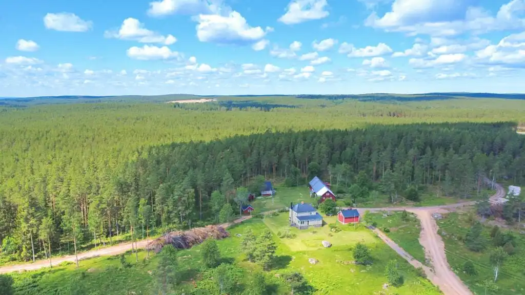 Natur und Wälder rund um Stora Hultet bei Hultsfred