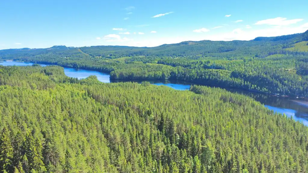 Flusslandschaft am Indalsälven nahe Hus Indalsälven in Jämtland