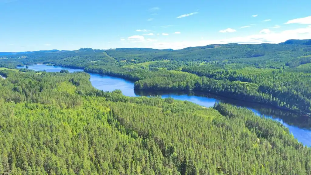 Natur und Wälder rund um Hus Indalsälven in Nordschweden
