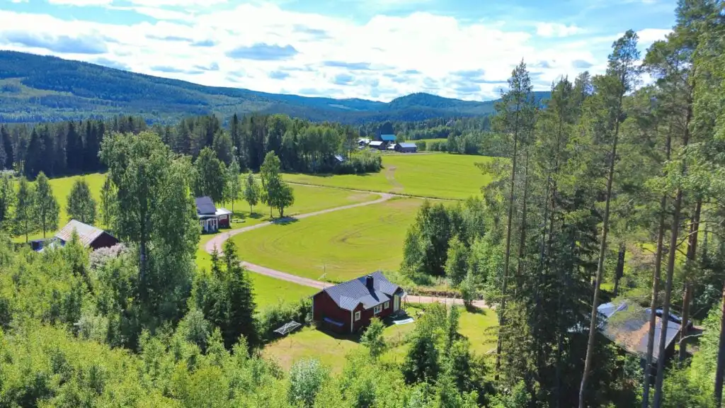 Ferienhaus Hus Hammerstrand umgeben von Wäldern und Wiesen in Nordschweden