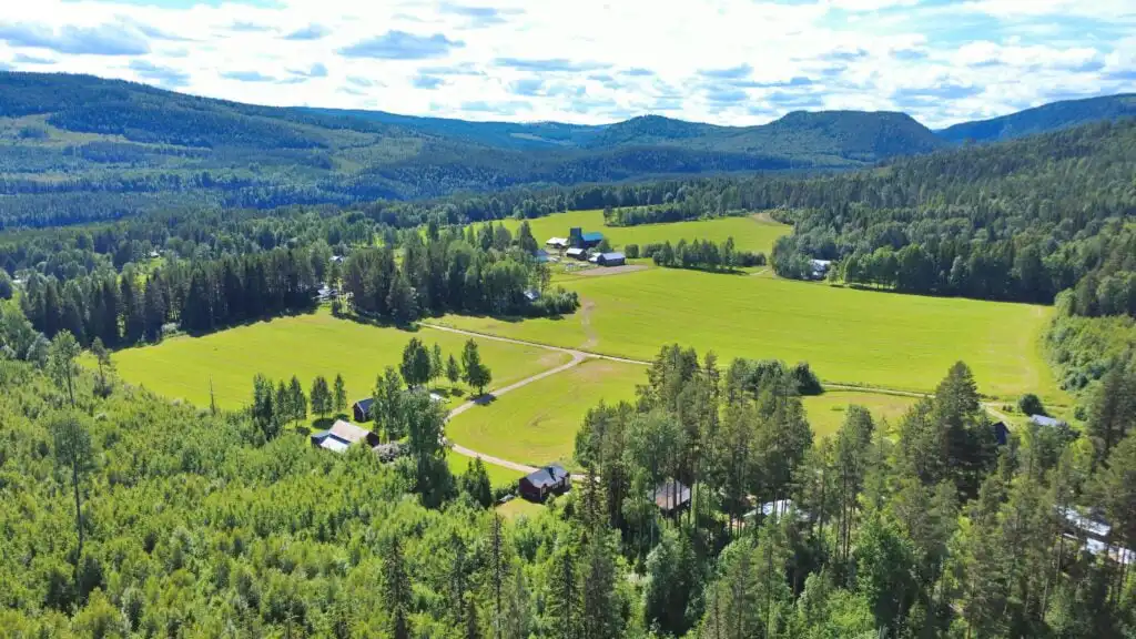 Natur- und Berglandschaft rund um Hus Hammerstrand in Jämtland