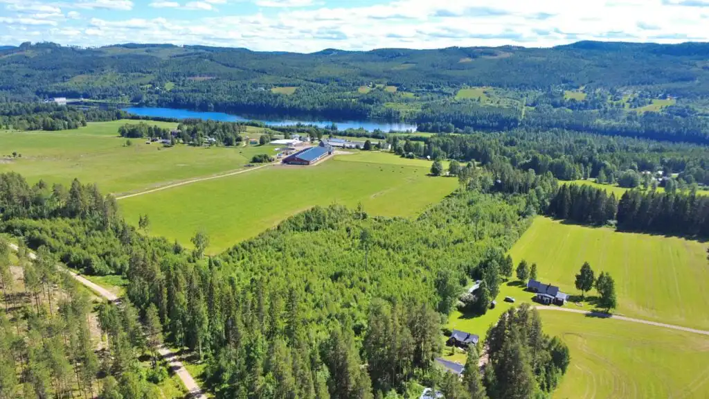 Luftaufnahme der Natur rund um Hus Hammerstrand in Jämtland