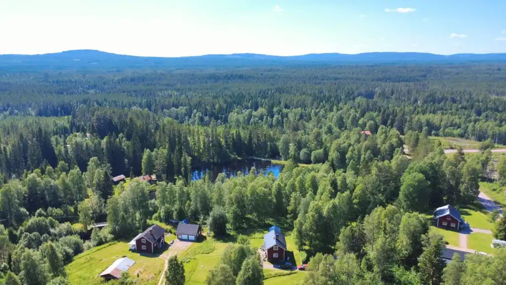 Natur- und Waldlandschaft rund um Hus Fee in Dalarna