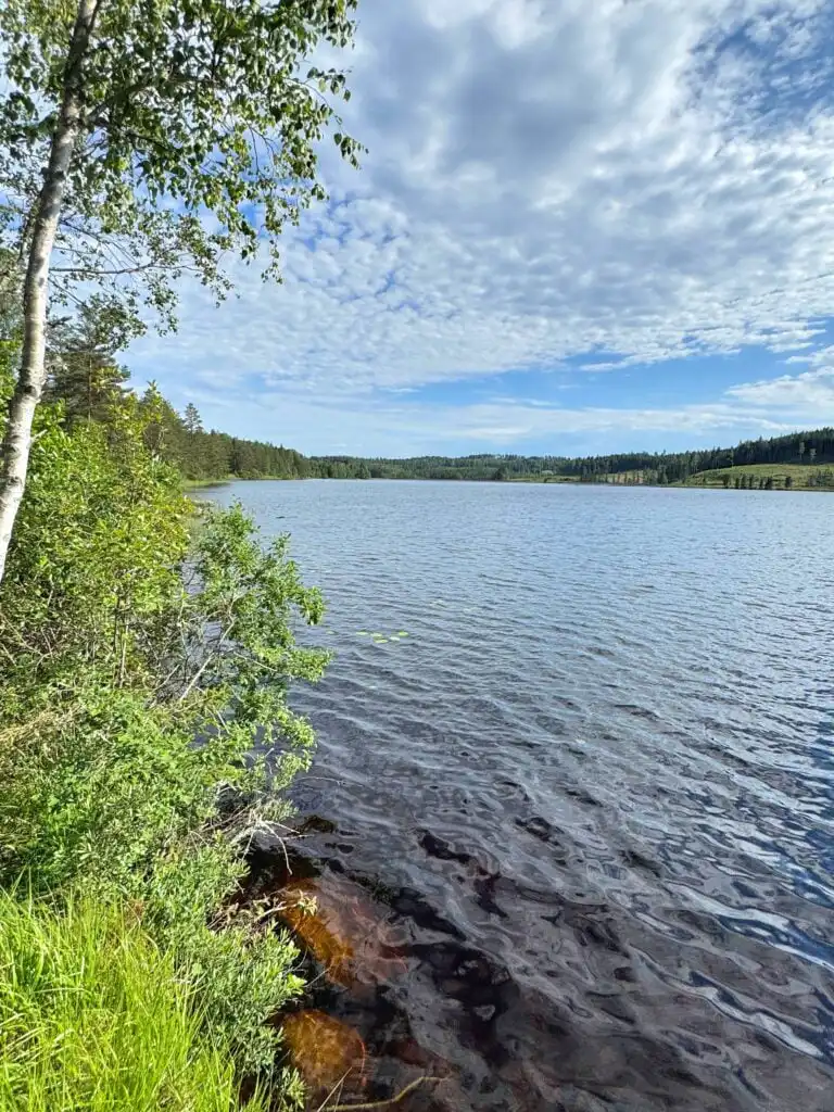 Naturufer am See Bjöksjön in Bergslagen
