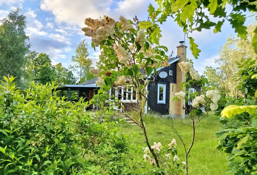 Naturgrundstück am Solkullen i Kalvshult in Småland