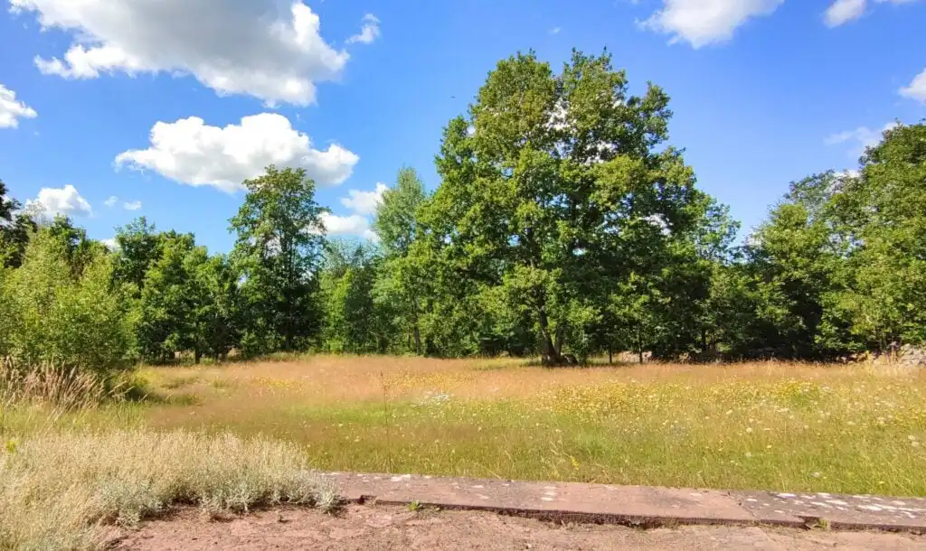 Wiese und Natur rund um Solkullen i Kalvshult