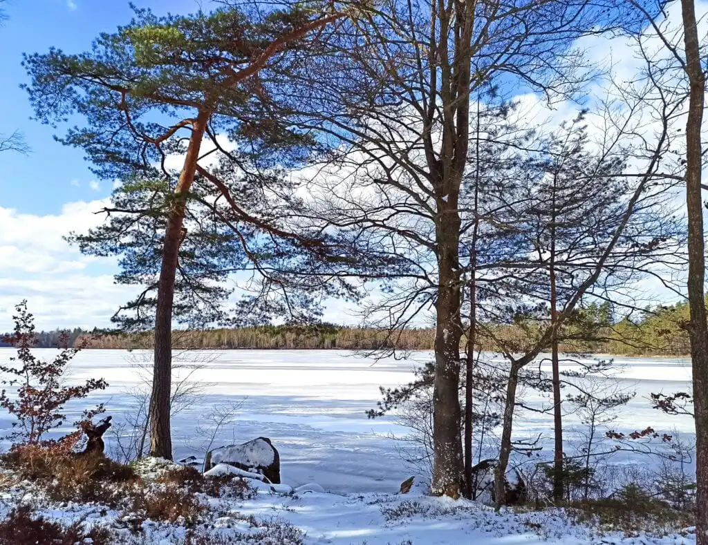 Winterstimmung am See Örsjön in Småland