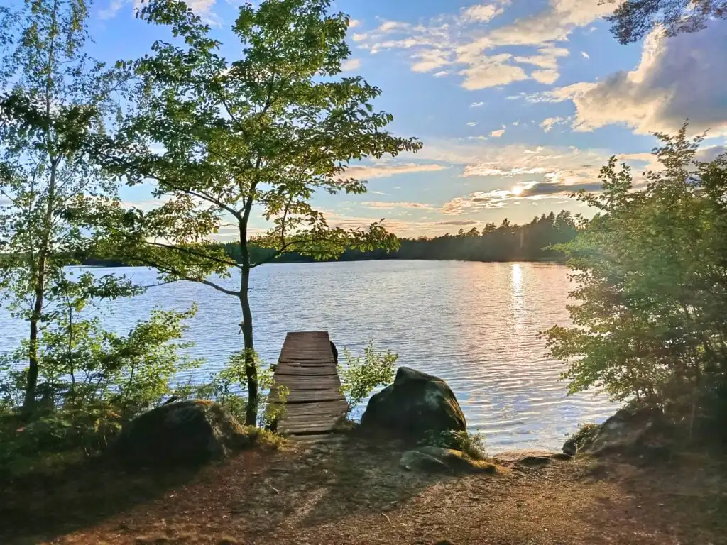 Naturufer am Örsjön bei Kalvshult