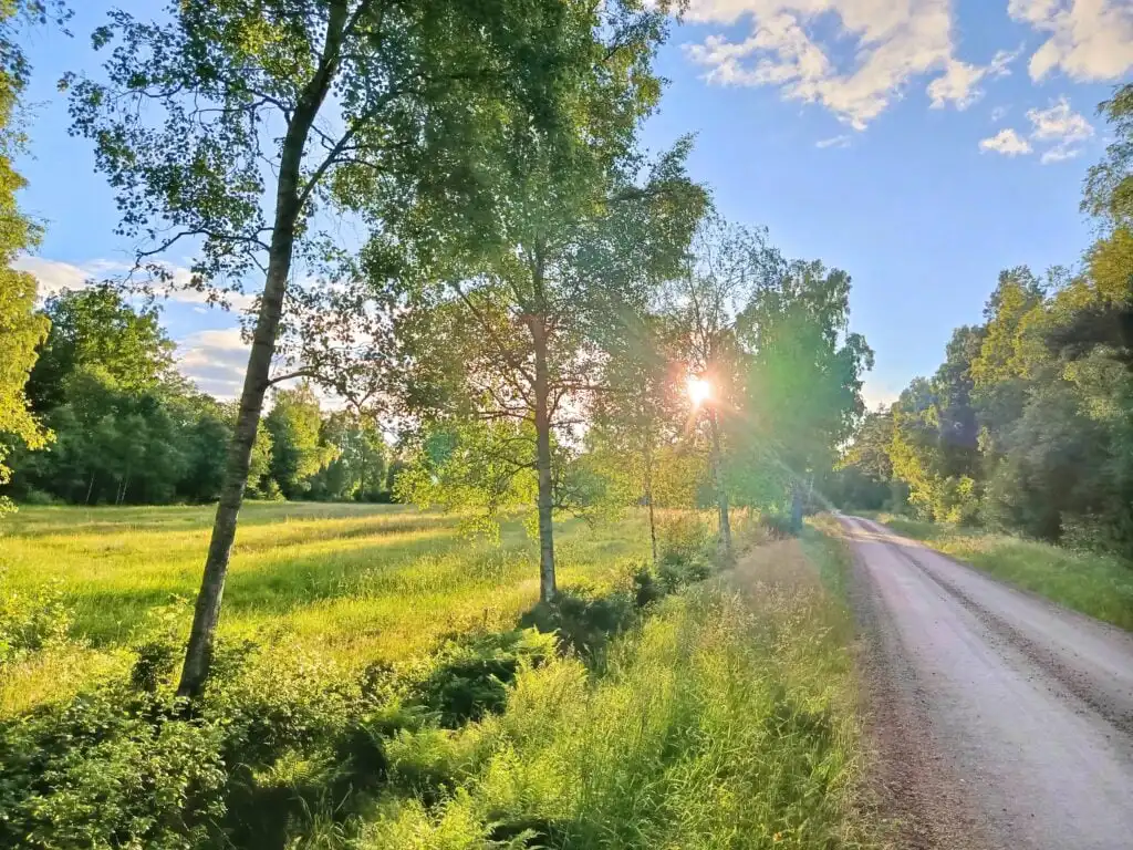 Waldweg rund um Solkullen i Kalvshult in Småland