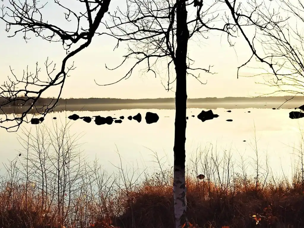 Morgenstimmung am See Örsjön in Småland