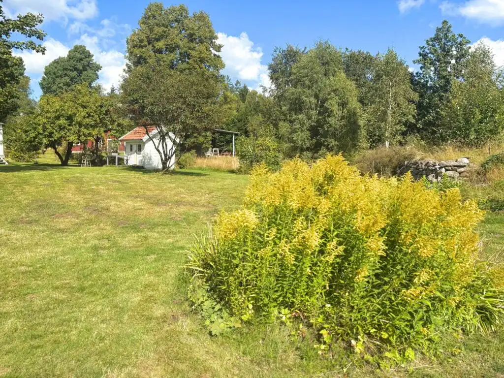 Naturgarten mit viel Platz am Ferienhaus Linnéagården