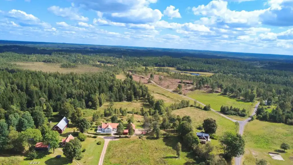 Weite Waldlandschaft rund um das Ferienhaus Linnéagården in Småland