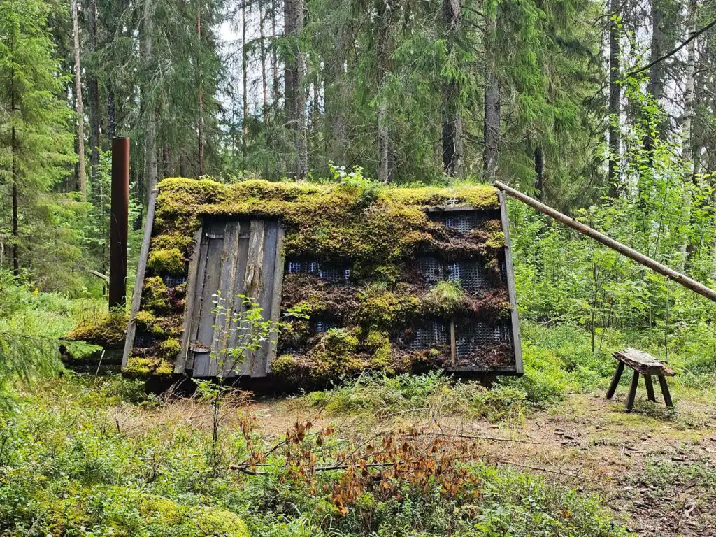 Kleine Waldhütte in der Natur bei Häxens Hus
