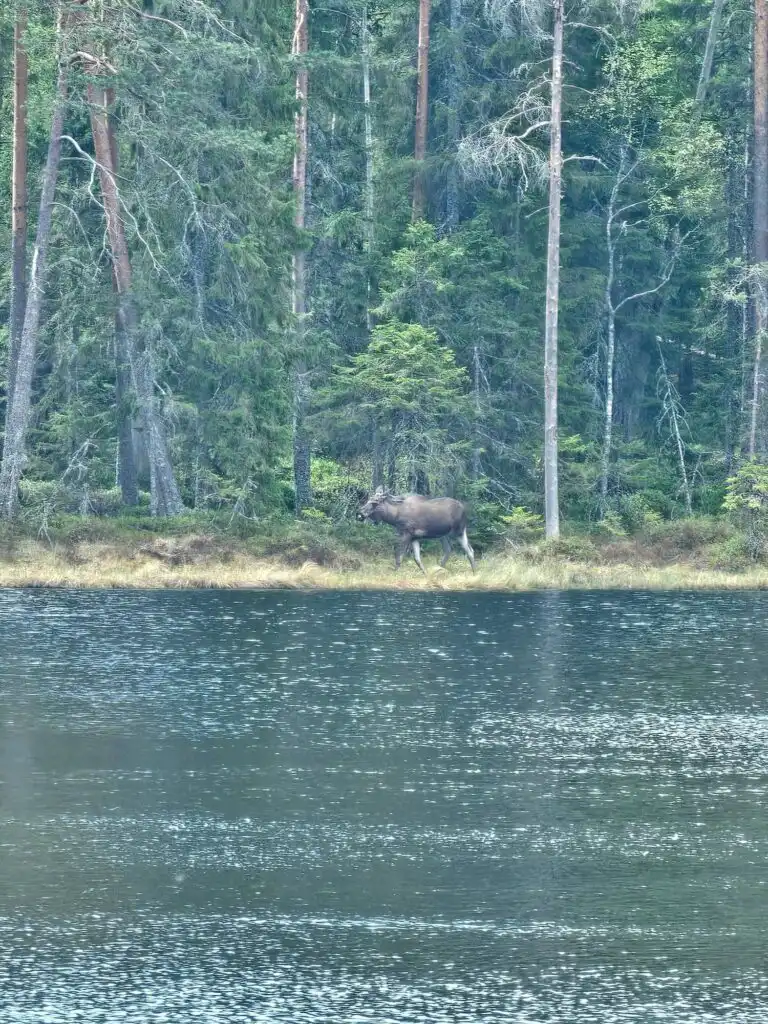 See Lisjön nahe Häxens Hus in Dalarna