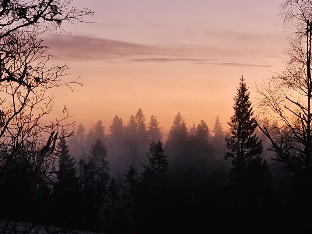 Abendstimmung über den Wäldern bei Häxens Hus