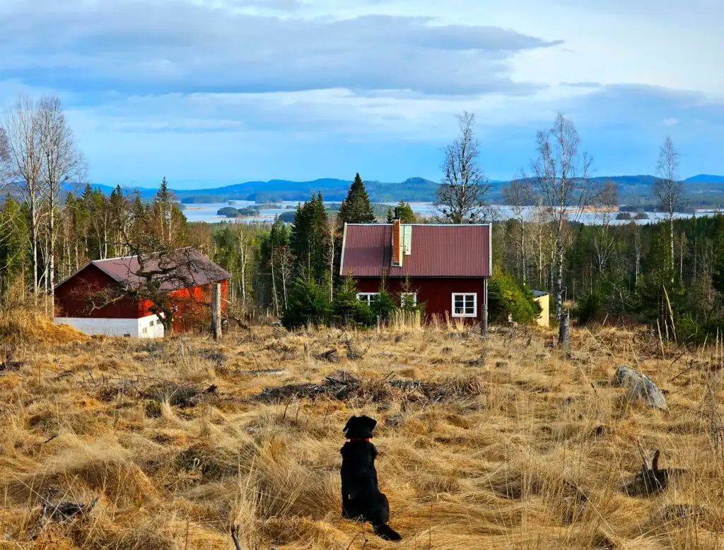 Landschaft rund um Fredriksberg und Häxens Hus in Dalarna