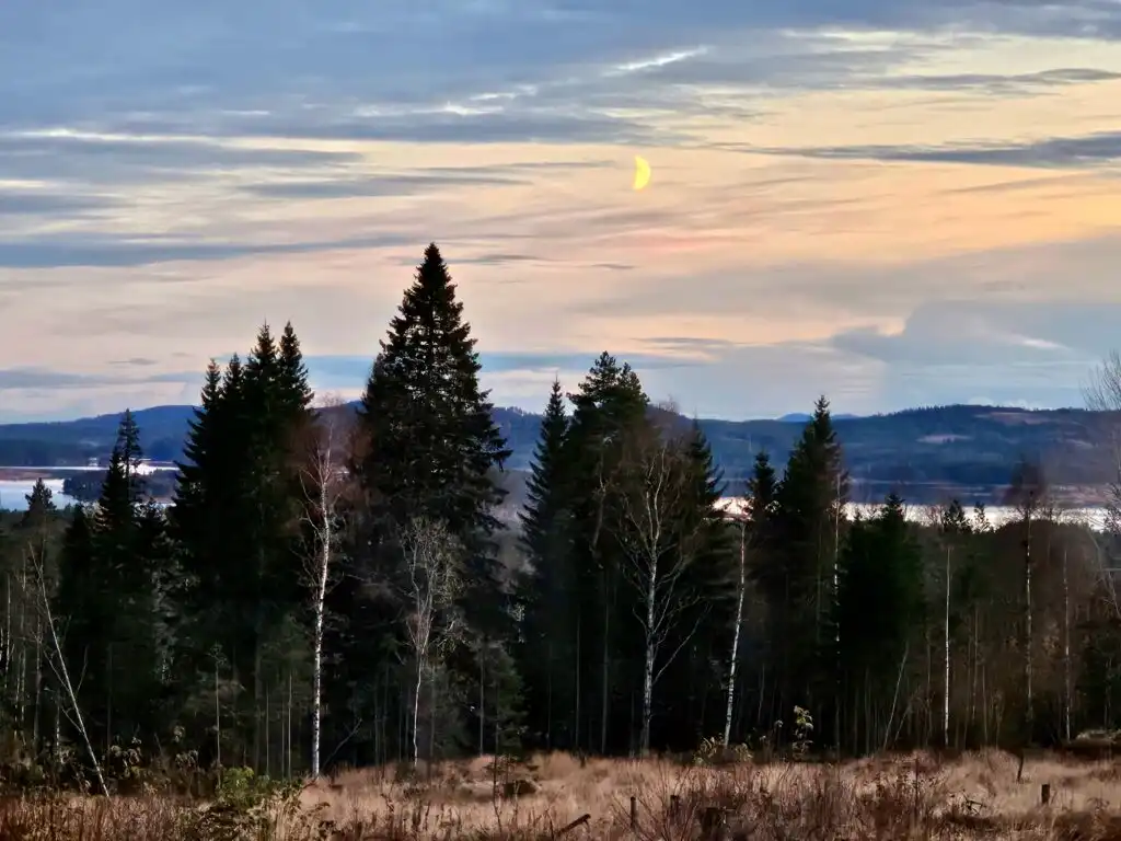 Weite Waldlandschaft rund um Häxens Hus bei Fredriksberg