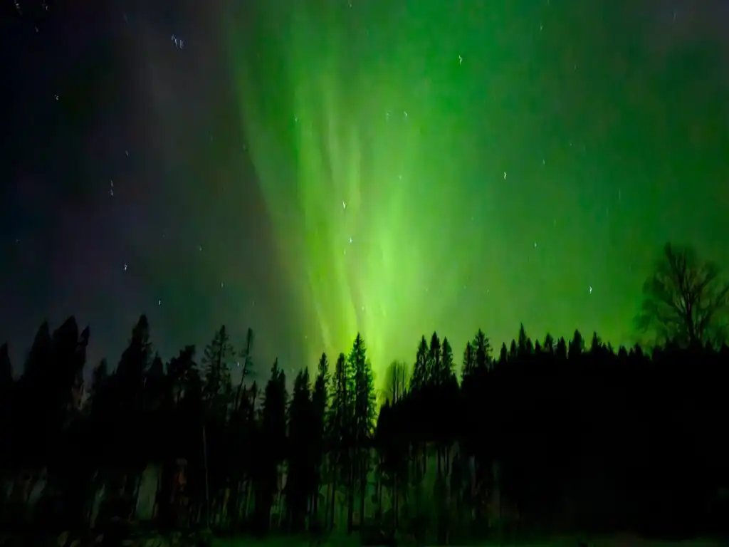 Nordlichter über den Wäldern nahe Häxens Hus in Dalarna