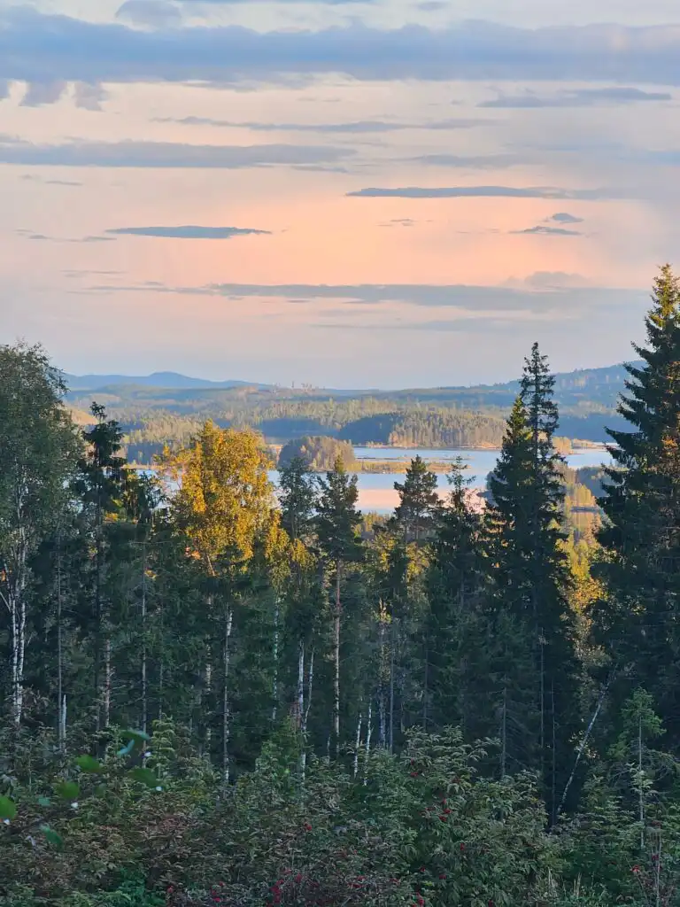 Ausblick über Wälder und Seen bei Häxens Hus in Dalarna