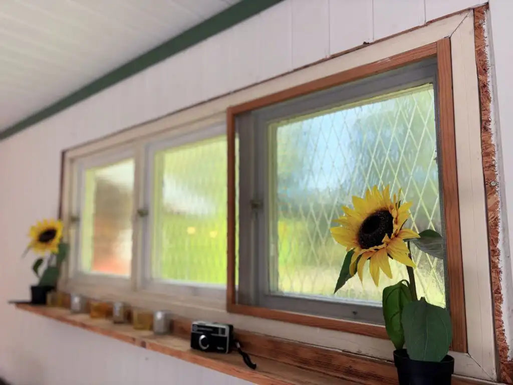Fenster mit Blick in die Natur am Ferienhaus Hus Älmtamåla in Blekinge